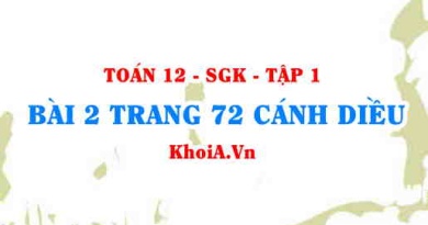 Bài 2 trang 72 Toán 12 tập 1 Cánh Diều